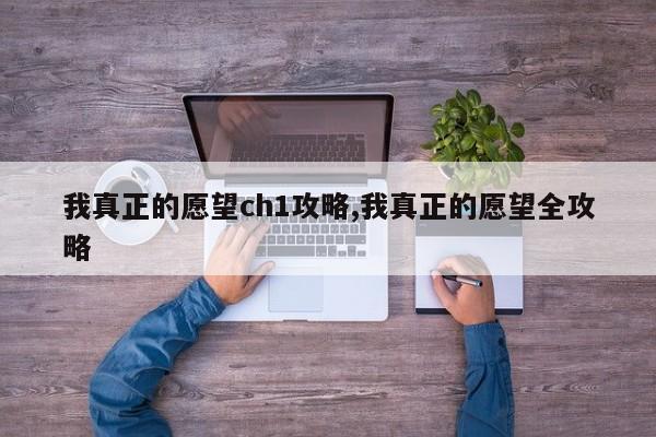 我真正的愿望ch1攻略,我真正的愿望全攻略