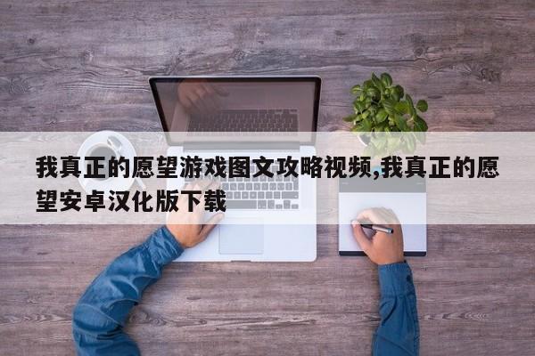 我真正的愿望游戏图文攻略视频,我真正的愿望安卓汉化版下载