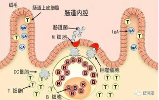 正经游戏骑士攻略[正经游戏骑士攻略大全]