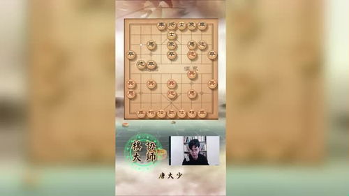 象棋下载游戏攻略视频教学,象棋下载安装最新版