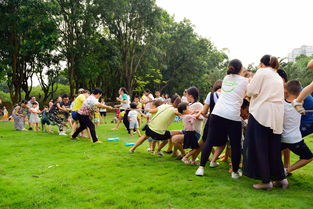 草地拍卖会攻略游戏,草地拍照道具