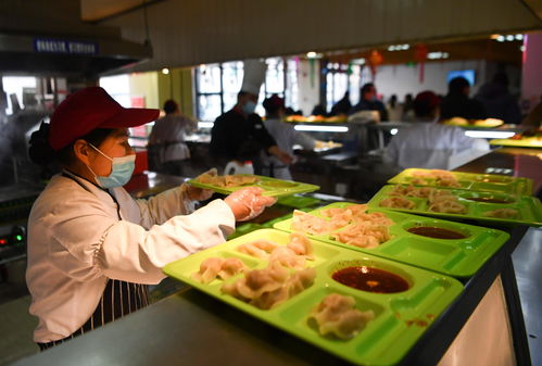 北郊大学美食餐厅游戏攻略,北郊环境好的餐厅