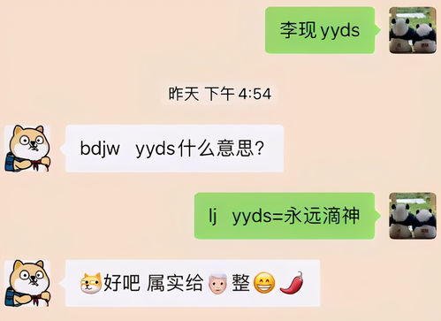 什么意思,什么意思翻译成中文