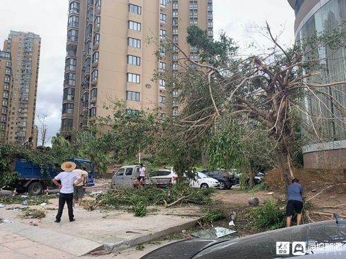 蓝湾国际社区,蓝湾国际社区缺点