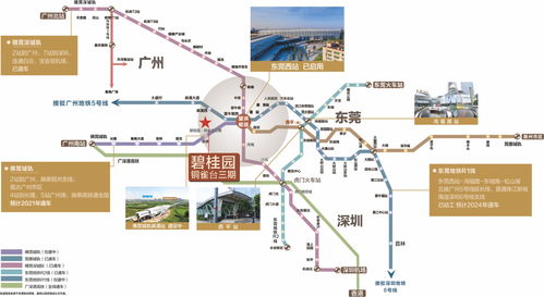 东莞城轨线路图,东莞城轨线路图 高清晰