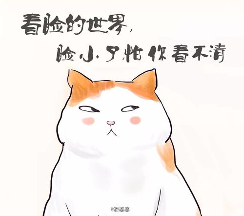 男生爱养猫攻略游戏下载,男生爱养猫是什么性格