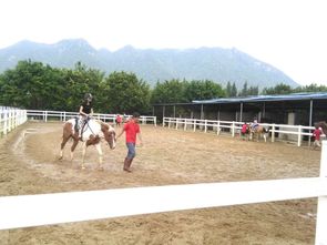 深圳一日游建议去哪里,深圳一日游建议去哪里锦绣中华要门票吗