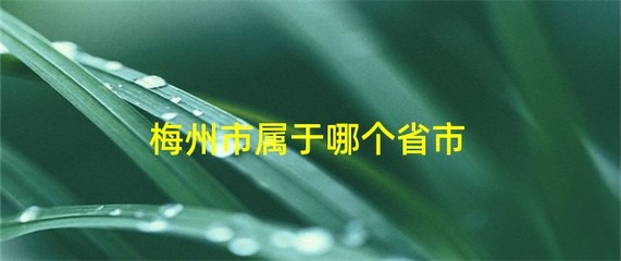 河源市属于哪个省,广东河源靠近哪里