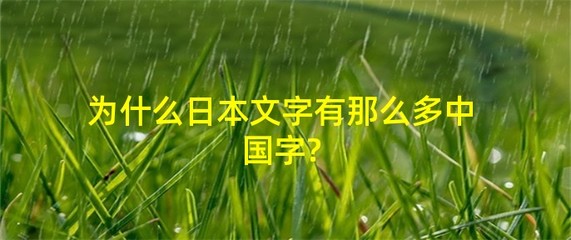 文字的力量游戏攻略国字,文字的力量故事