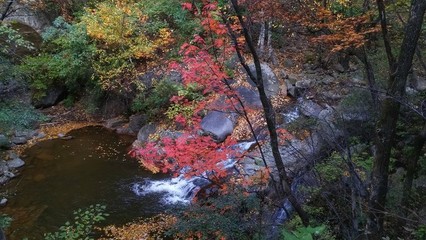 雾灵山攻略游戏推荐苹果,雾灵山攻略带你游遍