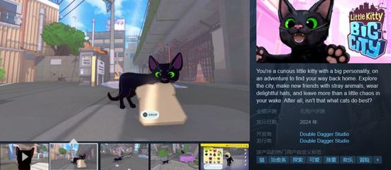 猫咪的毛游戏攻略秘籍,猫的毛有什么作用和特点