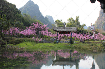 桃花源,桃花源景区