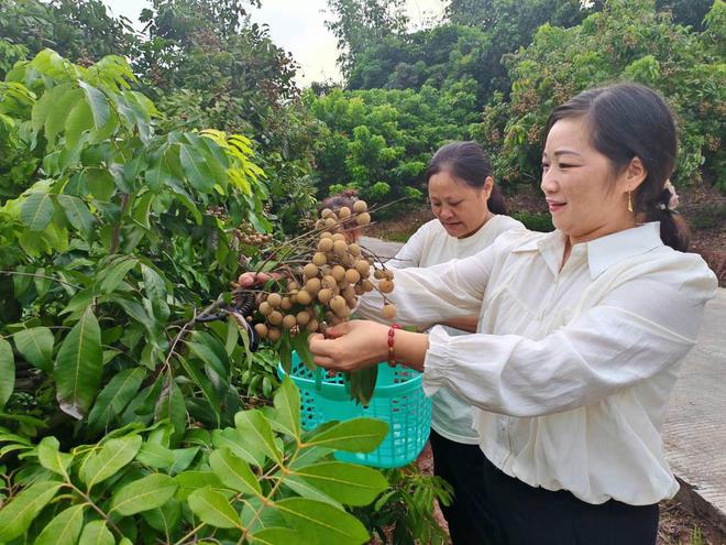 富顺在线,富顺在线招聘信息全职