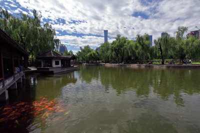 北京团结湖公园,北京团结湖公园简介