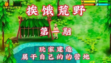 荒野建造生存游戏攻略视频,荒野生存建造类手游