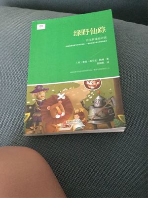 多萝茜故事游戏攻略,寻找多萝茜