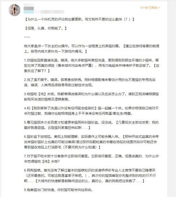 猫洗澡攻略游戏推荐中文,猫洗澡攻略游戏推荐中文版