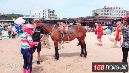 笼中岛出海攻略游戏下载,笼中月,作者岛頔