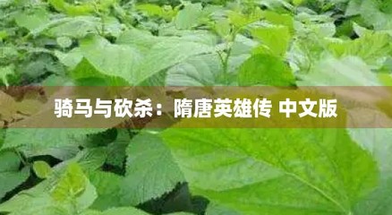 欧洲文明游戏攻略图文,欧洲文明指的是什么