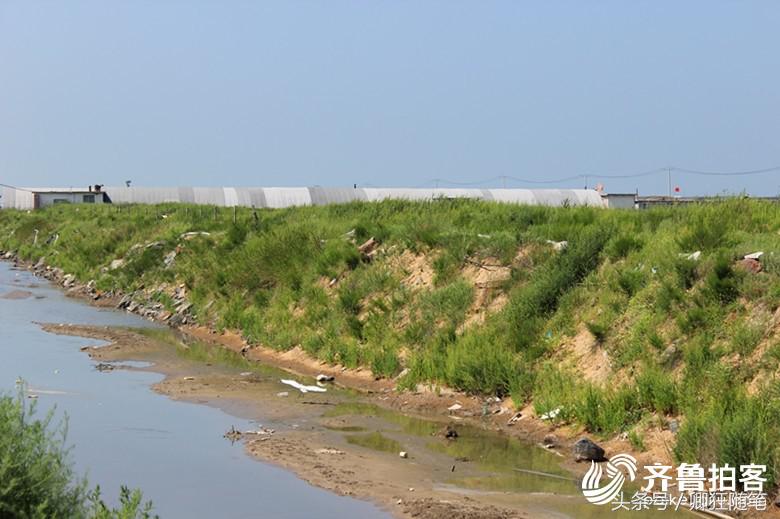 莱州三山岛二手房出售,莱州三山岛二手房出售最新信息