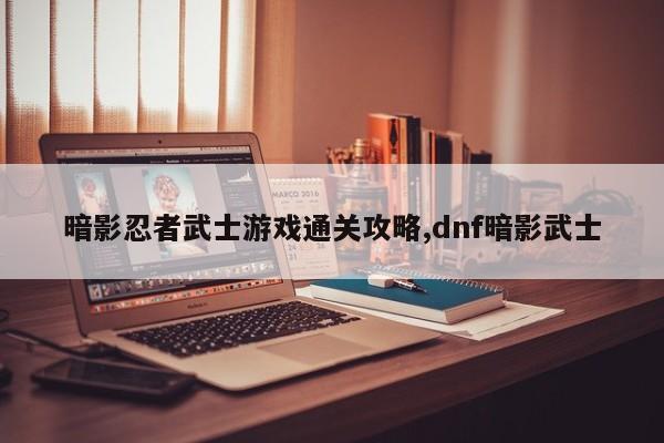 暗影忍者武士游戏通关攻略,dnf暗影武士