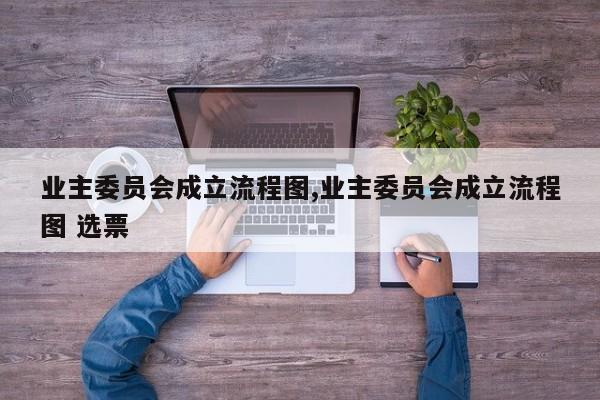 业主委员会成立流程图,业主委员会成立流程图 选票